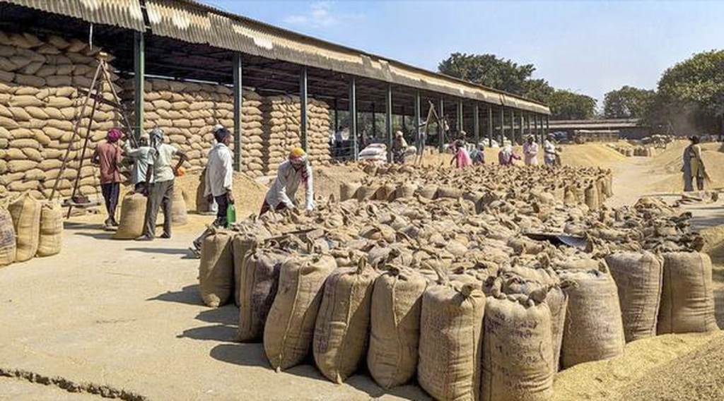 Paddy Procurement Progresses Smoothly in SAS Nagar  42 Arrival purchased So Far